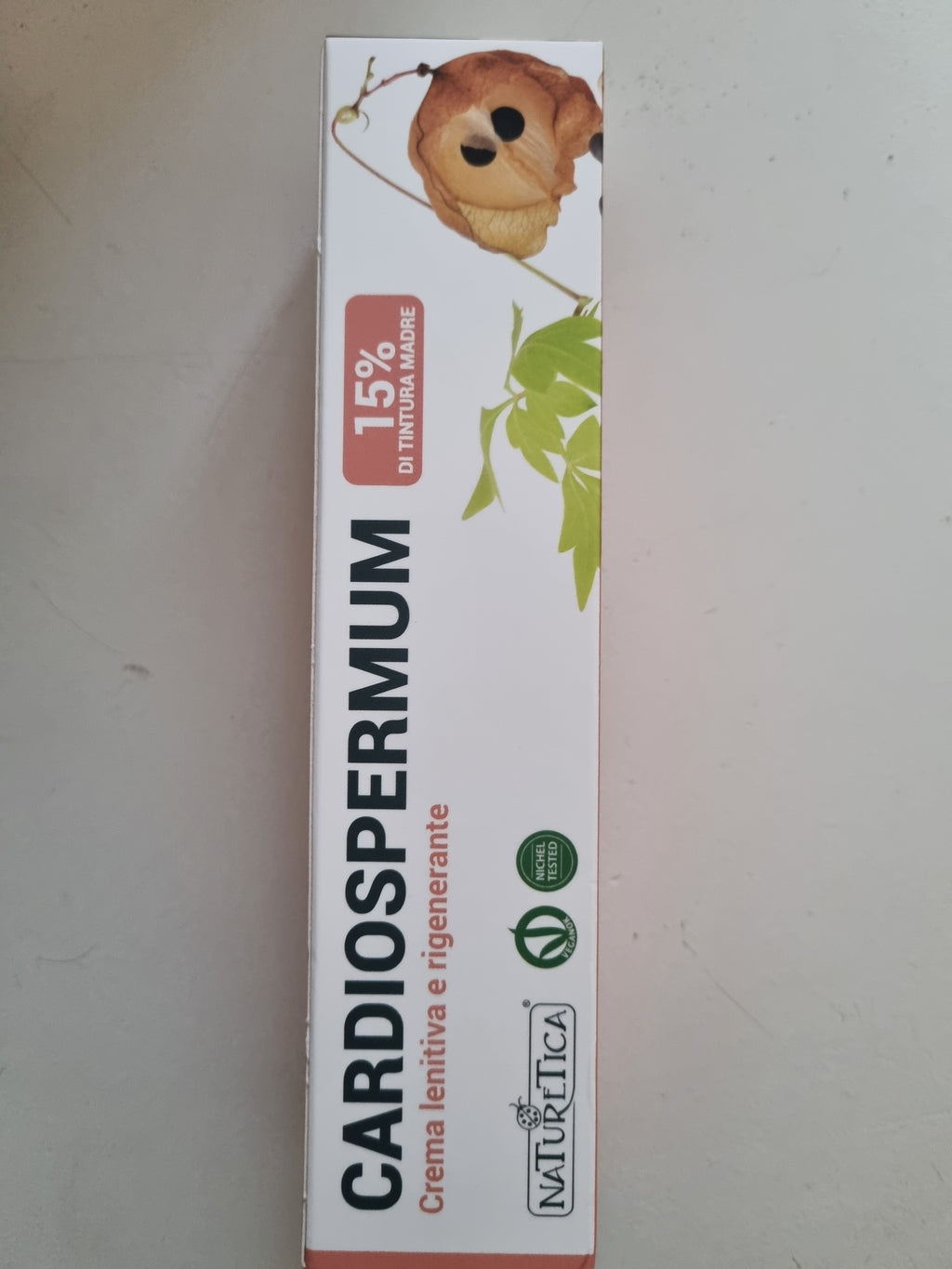Cardiospermum